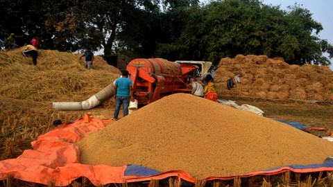 नयाँ धान आए पनि घटेन चामलको बजार भाउ, बोरामै ३ सय रुपैयाँसम्म बढ्यो